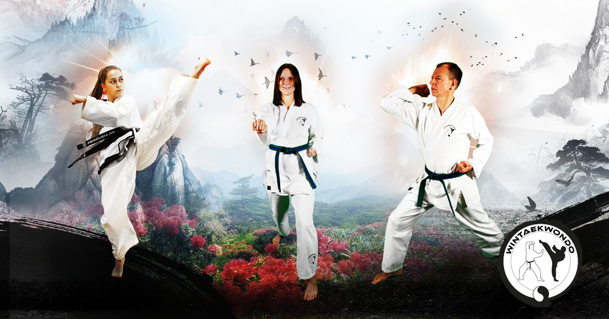 WinTaekwondo Frühlingskampagne Erwachsene 2024