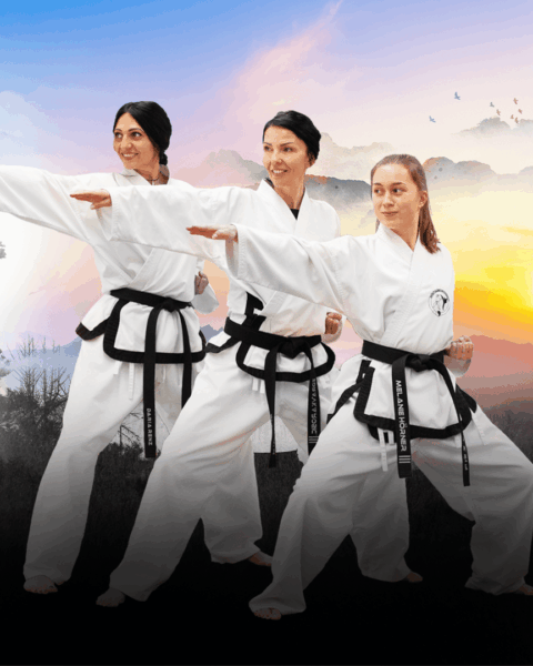 WinTaekwondo Erwachsene