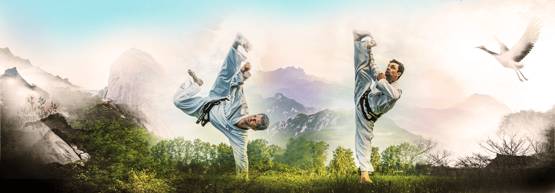 WinTaekwondo Leitung